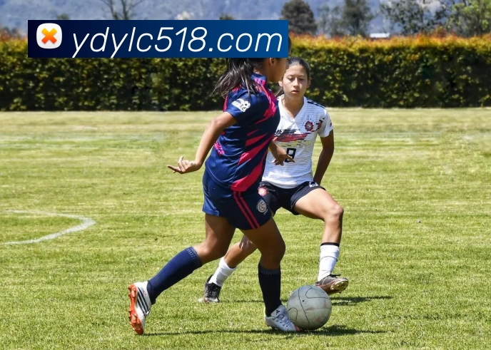 云顶娱乐城官网品牌故事