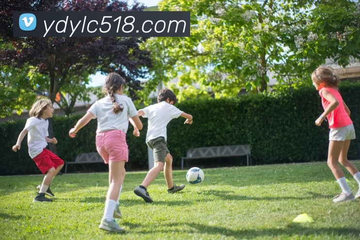 云顶娱乐城官网服务体系